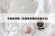 巴西龟养殖（巴西龟养殖的正确方法）