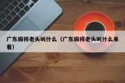 广东麻将老头叫什么（广东麻将老头叫什么来着）
