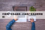 打麻将广东实战视频（打麻将广东实战视频播放）