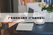 广东麻将抓马数字（广东麻将捉马）