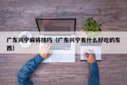 广东兴宁麻将技巧（广东兴宁有什么好吃的东西）