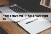 广东新手打麻将视频（广东新手打麻将视频播放）