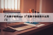 广东癞子麻将app（广东赖子麻将有什么窍门）