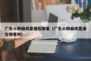广东小胖麻将直播在哪看（广东小胖麻将直播在哪看啊）