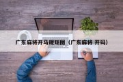 广东麻将开马规矩图（广东麻将 开码）