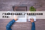 广东麻将赢分标准图片（广东麻将赢分标准图片大全）