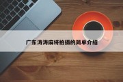 广东涛涛麻将拍摄的简单介绍