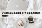 广东新手麻将搞笑视频（广东新手麻将搞笑视频大全）