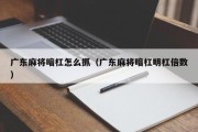 广东麻将暗杠怎么抓（广东麻将暗杠明杠倍数）