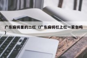 广东麻将里的二杠（广东麻将杠上杠一家包吗）