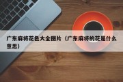 广东麻将花色大全图片（广东麻将的花是什么意思）