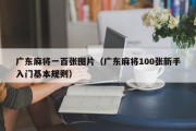 广东麻将一百张图片（广东麻将100张新手入门基本规则）