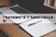 广东红中配麻将广安（广东麻将红中是什么意思）