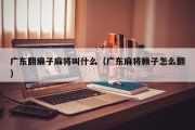 广东翻癞子麻将叫什么（广东麻将赖子怎么翻）