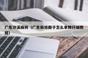 广东沙溪麻将（广东麻将骰子怎么拿牌仔细教程）