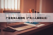 广东有双人麻将吗（广东二人麻将玩法）