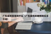 广东麻将茶苑叫什么（广东麻将的规则和玩法介绍）