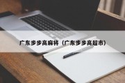 广东步步高麻将（广东步步高超市）