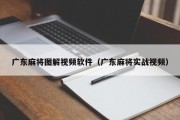 广东麻将图解视频软件（广东麻将实战视频）