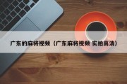 广东的麻将视频（广东麻将视频 实拍高清）