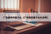 广东麻将将是什么（广东麻将是什么玩法啊）