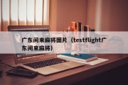 广东闲来麻将图片（testflight广东闲来麻将）