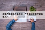 自学广东麻将教学视频（广东麻将教学视频新手入门）